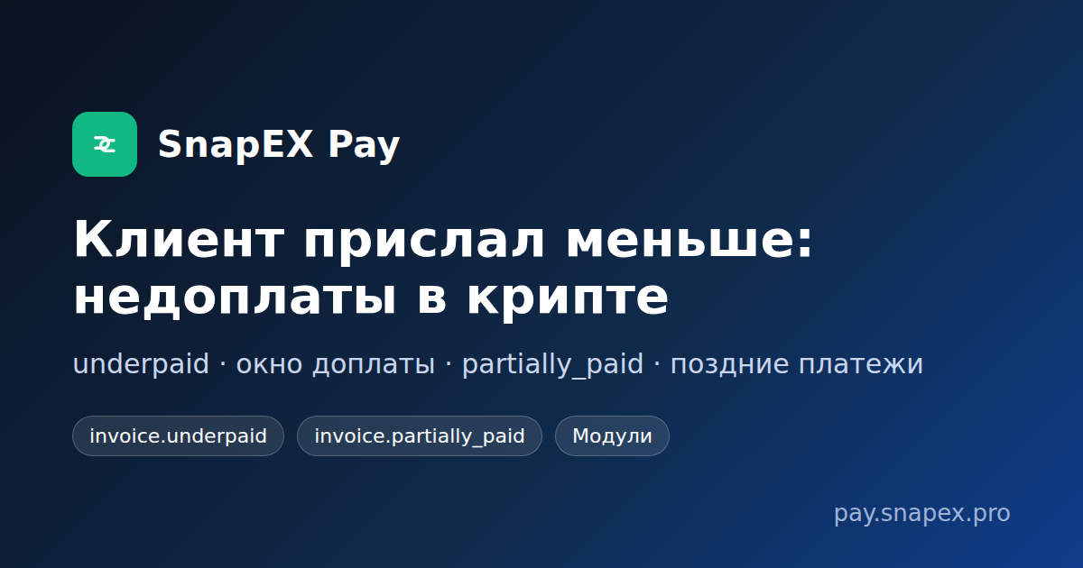Недоплаты в SnapEX Pay
