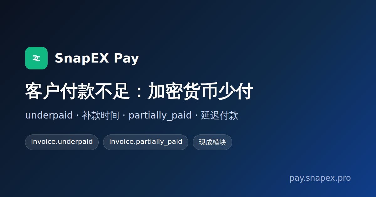 SnapEX Pay 中的加密货币付款不足